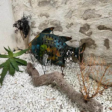 Ma Petite Cosy Saint-Martin-de-Ré